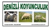 Denizli Koyunculuk  - Aydın